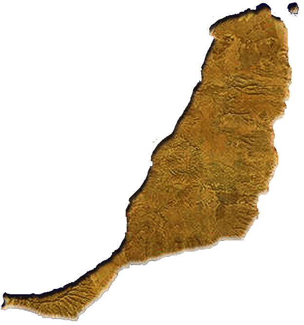 Ab nach Fuerteventura